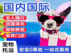 揭阳潮汕机场空运国际宠物托运 【国